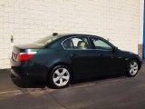 2006 BMW 5 Series 525xi Sedan Exterior