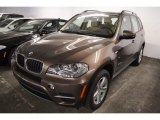 BMW X5 2013 Data, Info and Specs