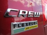 Dodge Grand Caravan 2011 Badges and Logos