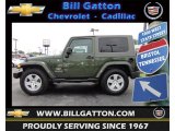 2007 Jeep Green Metallic Jeep Wrangler Sahara 4x4 #64289472