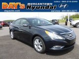 2013 Pacific Blue Pearl Hyundai Sonata Limited #64289381