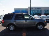 2011 Sterling Grey Metallic Ford Expedition XLT 4x4 #64352724