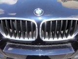 2010 BMW X6 M  Marks and Logos