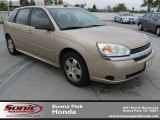 2004 Light Driftwood Metallic Chevrolet Malibu Maxx LT Wagon #64404690