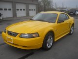 Screaming Yellow Ford Mustang in 2004