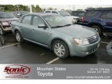 Titanium Green Metallic Ford Taurus in 2008