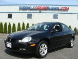 Black Clearcoat Dodge Neon in 2002