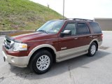 2007 Dark Copper Metallic Ford Expedition Eddie Bauer 4x4 #64511098