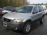 2005 Silver Metallic Ford Escape XLT V6 4WD #64555160