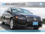 2012 Volkswagen Passat 2.5L SE