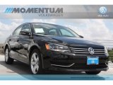 2012 Volkswagen Passat 2.5L SE