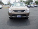 2012 Sahara Bronze Hyundai Veracruz Limited #64611556