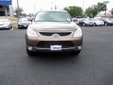 2012 Sahara Bronze Hyundai Veracruz Limited #64611553