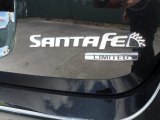 Hyundai Santa Fe 2010 Badges and Logos