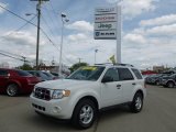 2010 White Suede Ford Escape XLT V6 4WD #64611748