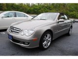 Pewter Metallic Mercedes-Benz CLK in 2009