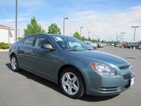 2009 Chevrolet Malibu LS Sedan