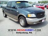 Charcoal Blue Metallic Ford F150 in 2001