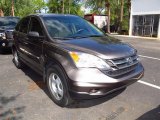 2010 Urban Titanium Metallic Honda CR-V LX #64663142