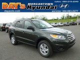 2012 Black Forest Green Hyundai Santa Fe GLS AWD #64664748