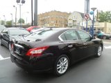 2010 Nissan Maxima 3.5 SV