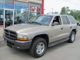 Light Almond Pearl Metallic Dodge Durango in 2002