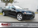 2012 Volkswagen Passat 2.5L SE