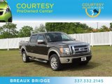 2009 Stone Green Metallic Ford F150 King Ranch SuperCrew 4x4 #64870402