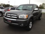 2005 Phantom Gray Pearl Toyota Tundra SR5 Double Cab 4x4 #64870359