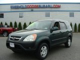 2003 Clover Green Pearl Honda CR-V EX 4WD #64925167