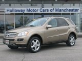 2008 Mercedes-Benz ML 350 4Matic