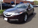 2010 Mayan Bronze Metallic Acura TL 3.5 #64976060