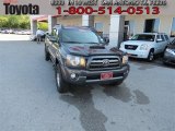 2010 Magnetic Gray Metallic Toyota Tacoma V6 SR5 TRD Sport Double Cab #64975319