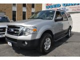 Ingot Silver Metallic Ford Expedition in 2011