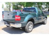 2007 Ford F150 XL Regular Cab 4x4 Exterior