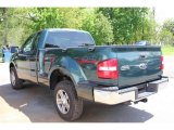 2007 Ford F150 XL Regular Cab 4x4 Exterior