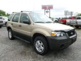 2007 Dune Pearl Metallic Ford Escape XLS 4WD #64975886