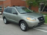 2009 Hyundai Santa Fe GLS