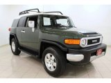 2010 Army Green Toyota FJ Cruiser 4WD #65041894