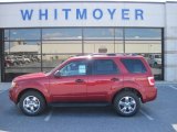 2012 Toreador Red Metallic Ford Escape XLT V6 4WD #65041869