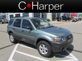 2007 Ford Escape XLT V6 4WD