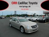 2009 Gold Mist Cadillac STS V6 #65041756