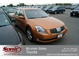 2004 Nissan Maxima 3.5 SE