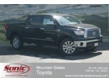2012 Black Toyota Tundra Platinum CrewMax 4x4 #65184656