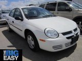2004 Stone White Dodge Neon SE #65229726