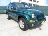 2004 Timberline Green Pearl Jeep Liberty Limited #65228870