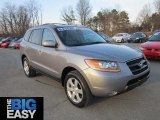 2008 Steel Gray Hyundai Santa Fe SE 4WD #65229511