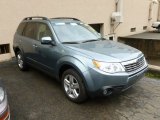 2009 Sage Green Metallic Subaru Forester 2.5 X Premium #65229497