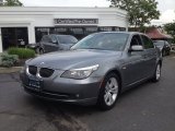 2009 Platinum Grey Metallic BMW 5 Series 528i Sedan #65228609