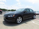 2012 Volkswagen Passat 2.5L SE